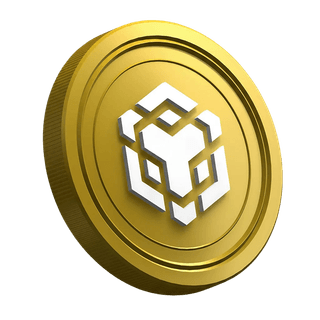 Moneda de la criptomoneda Binance BNB en la página de guía dirigida a traders nuevos